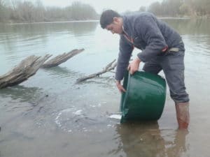 Sur le Gave d'Oloron (Coin pêche 64 Bidala)